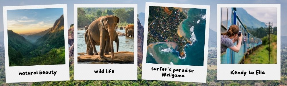 Four polaroid photos showing Sri Lanka: mountains, wildlife, coast, train.